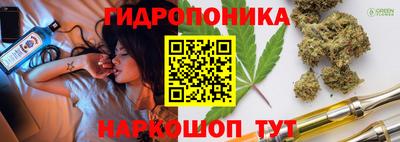 PSILOCYBIN Пенза