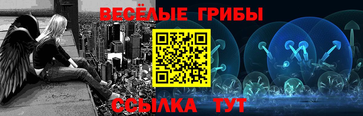 Псилоцибиновые грибы ЛСД Саяногорск