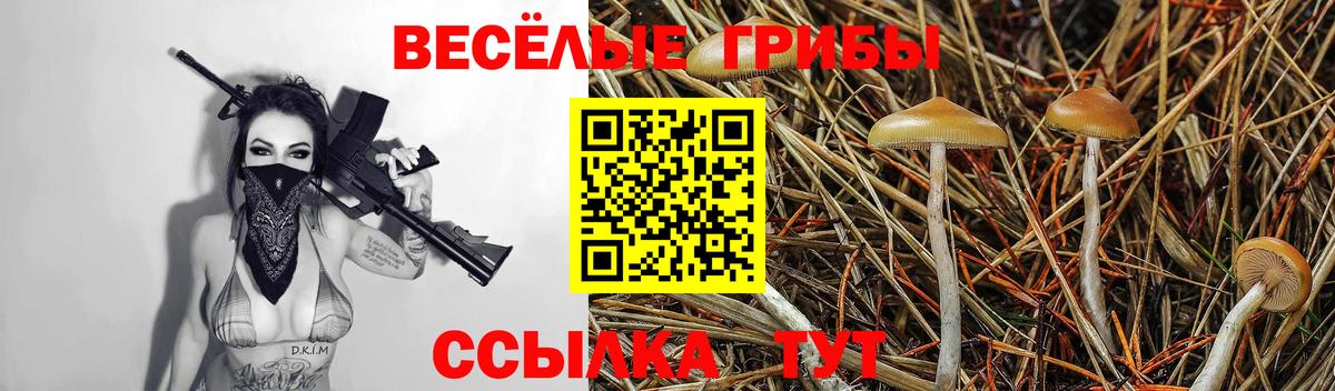 Галлюциногенные грибы GOLDEN TEACHER  Псилоцибиновые грибы Psilocybe  Саяногорск  Вход с VPN 